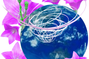 台風27号19年のアメリカ軍とヨーロッパ予報の進路予想図 台風27号19年のアメリカ軍とヨーロッパ予報の進路予想図