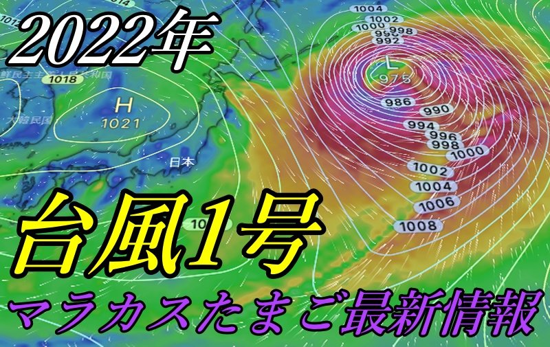 台風1号2022年マラカスたまご最新情報